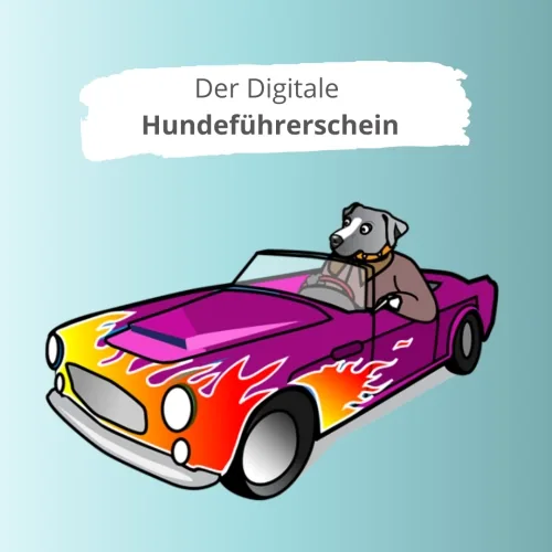 Anbieterabbildung des Onlinekurses Der Digitale Hundeführerschein mit Hund im Auto