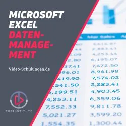 Kursbild zum Angebot Microsoft Excel zur Dateneingabe und Produkte